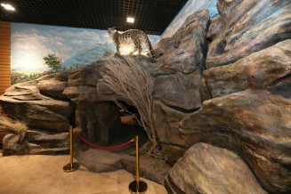 1488664_751514128272999_1497699505220239153_n