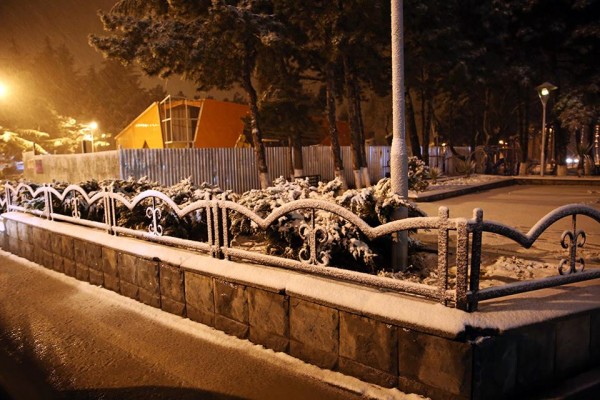 1501730_978271995522734_3540906177373100315_n