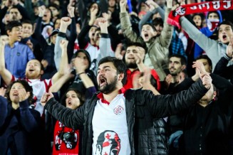 154587_358229581011988_7435647379612365498_n