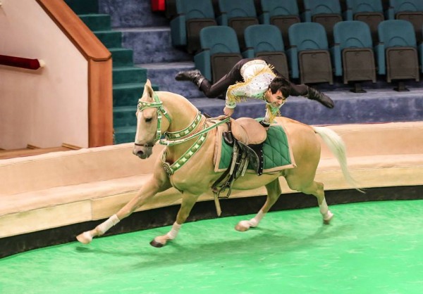 10818964_324569674415889_47462139_n