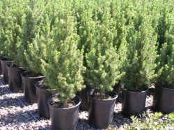 10836298_322980074574849_1503617710_n