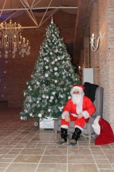 10846051_886529058058606_8235513066071021878_n