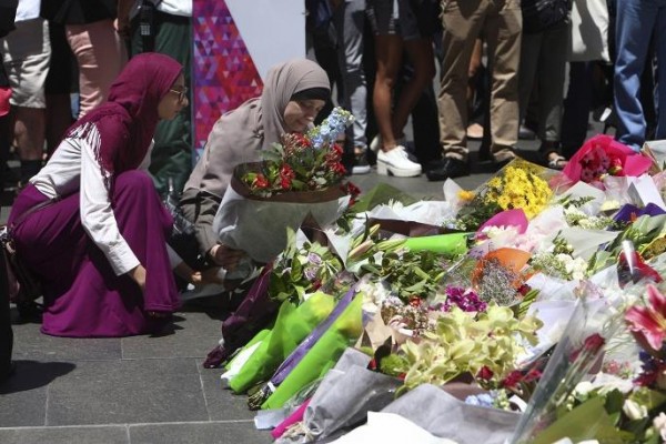 10850816_885434271496812_2114978128_n