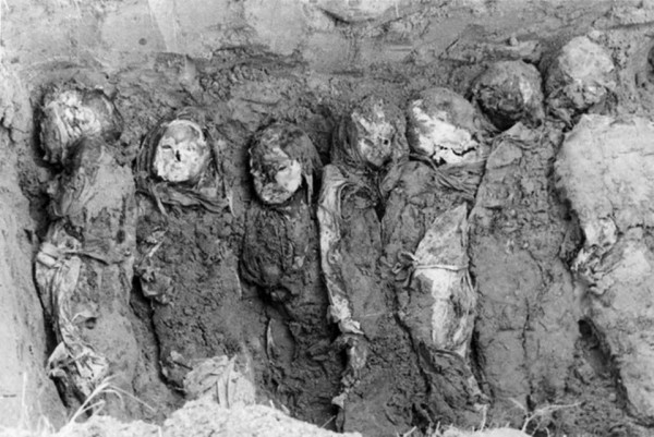 10859713_1525017484416490_1908080896_n