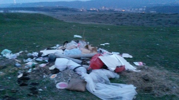 10866989_905576596132993_845770889_n (1)