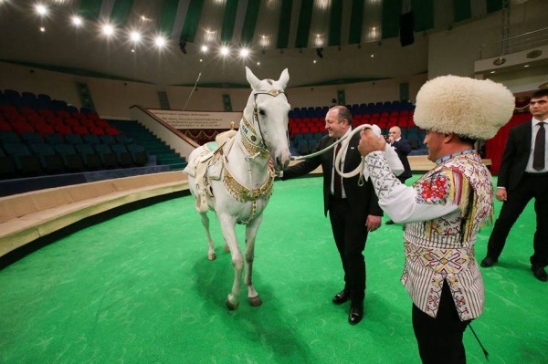 10872466_324569164415940_1826200274_n