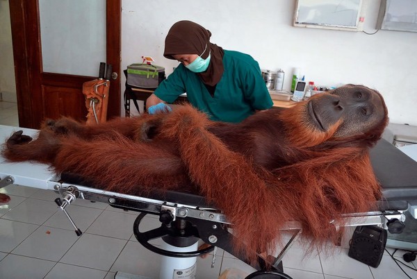 10877809_888823184491254_20750779_n