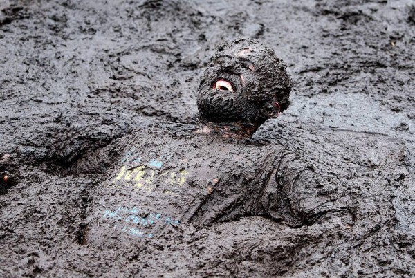 10881279_888823327824573_2140760916_n