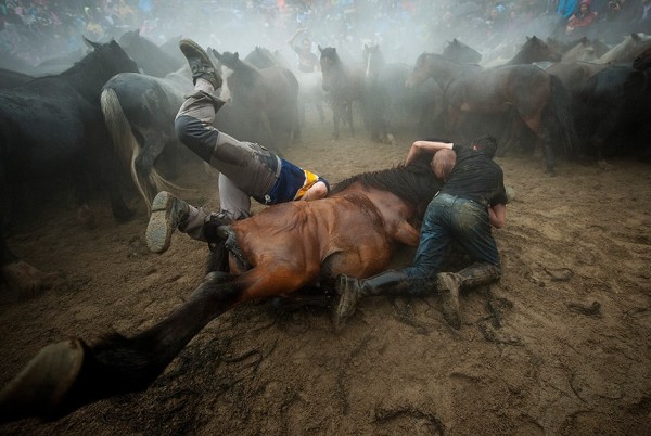 10881284_888823174491255_157630279_n