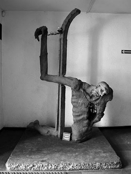 10881446_1525017474416491_1657484437_n