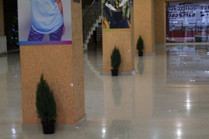 10444647_10152683903834779_1055731904802503515_n