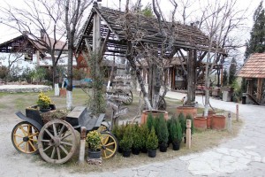 10502151_10152683904009779_5085638087521040439_n