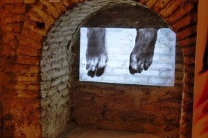 10685412_801114796604241_5983484735967837914_n