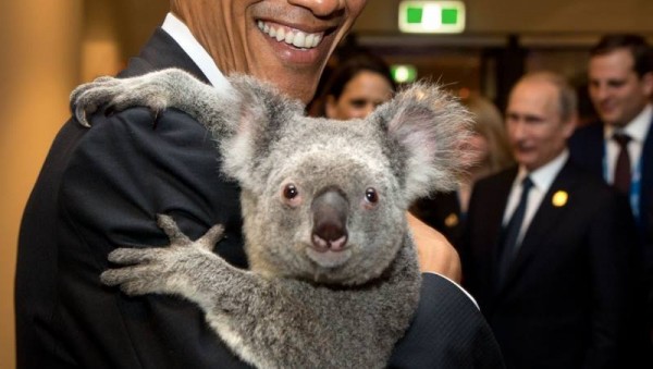 10884965_1008477879180228_1967922974_n