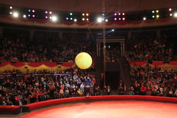 10885306_1005229989493601_8128603602895986731_n