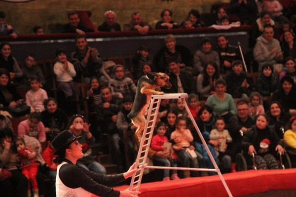 10888495_1005230192826914_519135577665118564_n