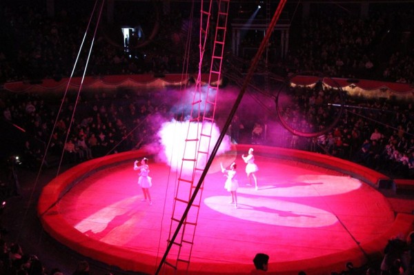 10891804_1005229026160364_8543499730234720047_n