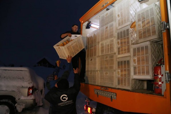 10904125_10152665694549779_1976452915_n