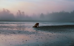 10904191_1583172111898142_805945950_n