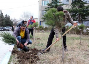 10915236_10152683904044779_8971776978413726362_n