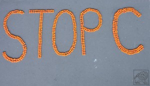 10916384_771965456185064_697139751672633130_o