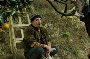 10921867_891233787565782_295692995_n