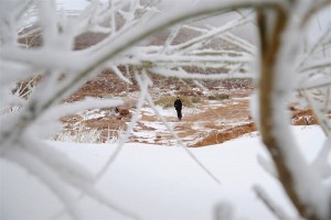 10921964_1533468916904680_399761480_n