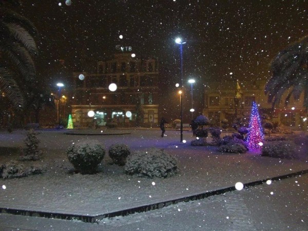 10922065_334264816779708_1423675430_n