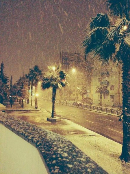 10927905_334264806779709_946529730_n