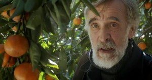 10928599_891233687565792_1658050772_n