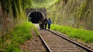 10928664_1534573663460872_1886205792_n