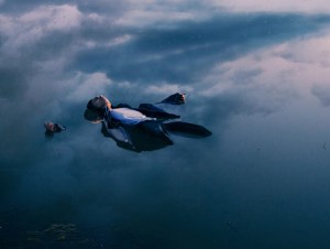 10928805_1583172091898144_410265311_n