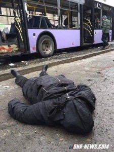 10943598_1536532379931667_1883836234_n