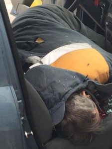 1509757_792436540805615_3188342894487118158_n