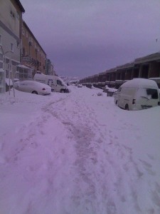 10917687_1547031202215118_389249165_n