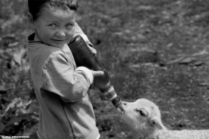 10979229_805571226158598_395751518_n