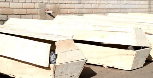 10984858_1546775475574024_1794431854_n