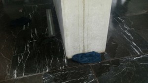 10991324_1143086962373609_1209521706420711318_n