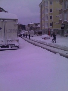 10994653_1547031198881785_1889867281_n