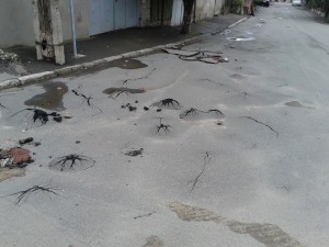 10999816_347048738834649_7302844481526684774_n