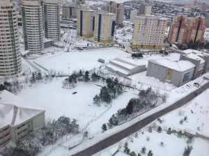 11003997_1547031215548450_2039869046_n