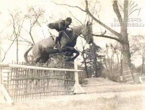 11004943_345401855655206_631822805_n