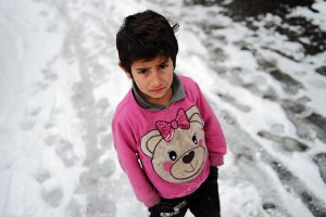 11007710_1547031218881783_1970430082_n