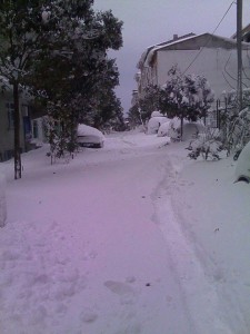 11008996_1547031208881784_1403718934_n