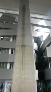 11011201_1143086999040272_8984700574818418408_n