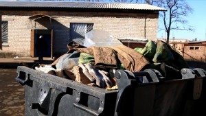 11012233_1546775485574023_1982246039_n