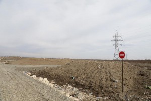 11016649_1596179360619826_407593257_n