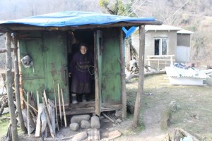 11023262_912940208728473_1634354194_n