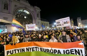 _81052772_025906190-1