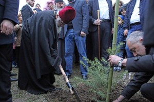 10350402_1056582767691656_3741137457516362633_n